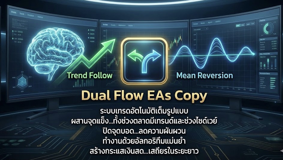 Dual Flow EAs Copy
